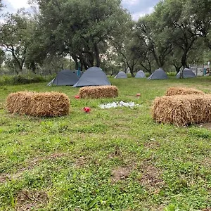 Cika's Camping Campo de lujo